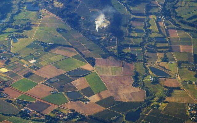 Land Remediation Relief